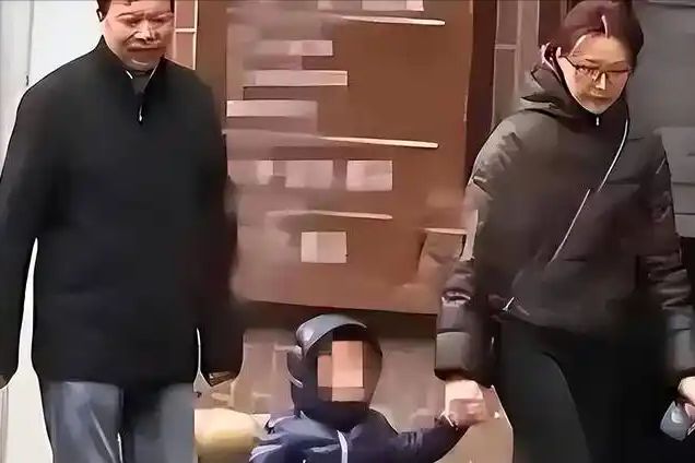 岁董卿近况曝光意外暴露圈内人的“精明”不朽情缘手机网站拔出萝卜带出泥！52(图27)