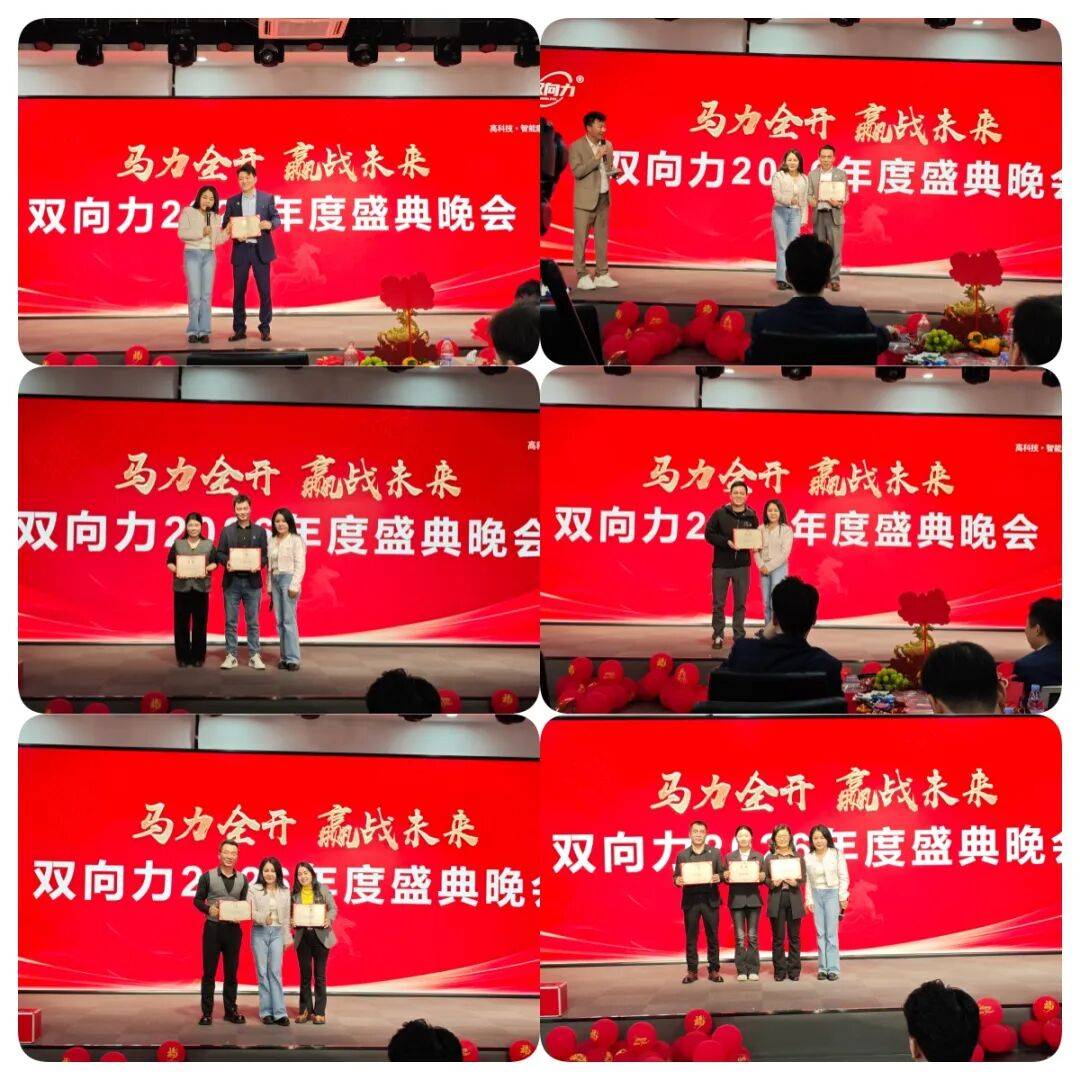 力集团2026春节年会盛典圆满举行！不朽情缘平台马力全开赢战未来｜双向(图9)